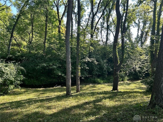 view of local wilderness