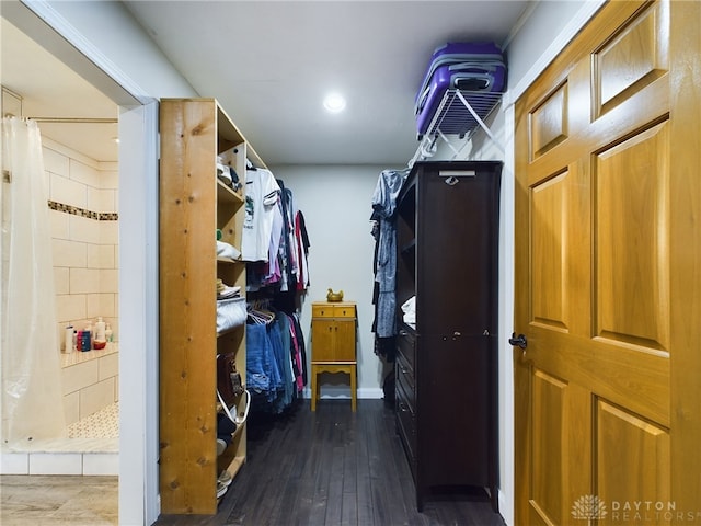 interior space featuring dark hardwood / wood-style floors