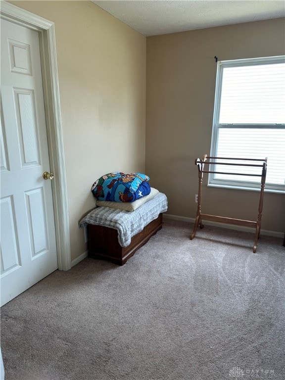 sitting room with a textured ceiling and carpet floors