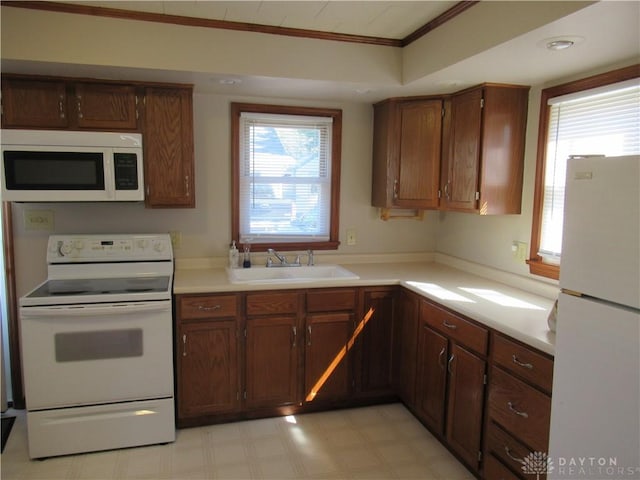 kitchen featuring sink, white appliances, and ornamental molding