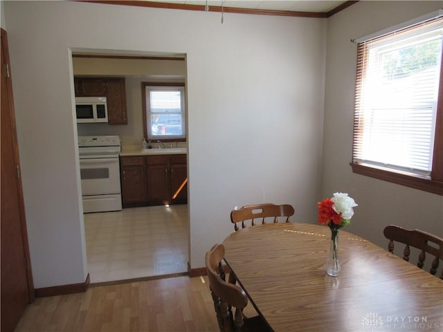 dining space featuring light wood-type flooring, ornamental molding, and sink