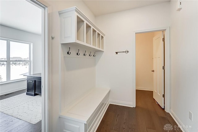 mudroom with dark wood-type flooring and a wealth of natural light