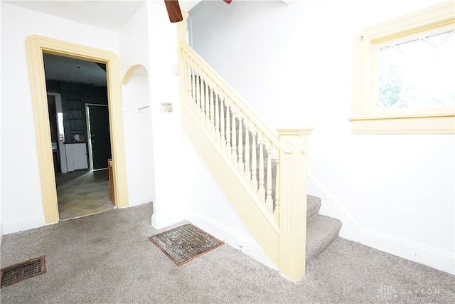 stairway with carpet flooring and ceiling fan