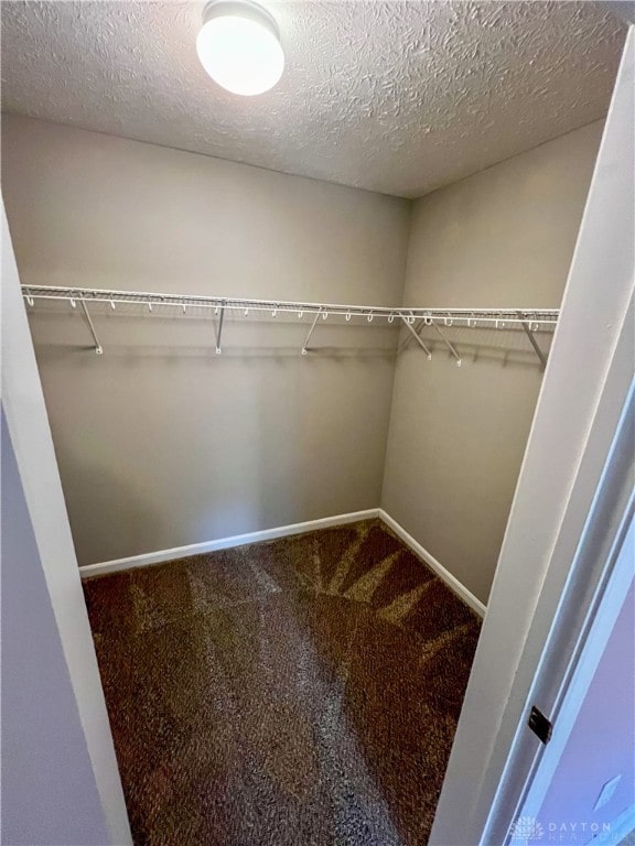 spacious closet with carpet