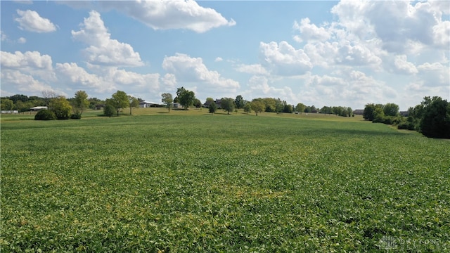 view of yard featuring a rural view