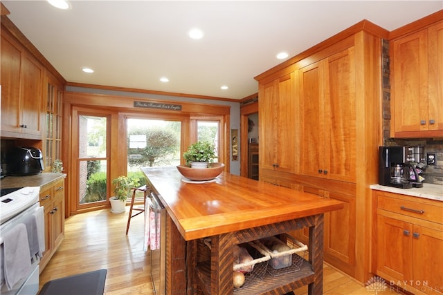 kitchen with crown molding, light hardwood / wood-style flooring, electric stove, and decorative backsplash