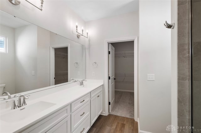 bathroom with vanity and wood-type flooring