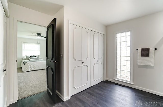 entryway featuring a healthy amount of sunlight, ceiling fan, and dark hardwood / wood-style flooring