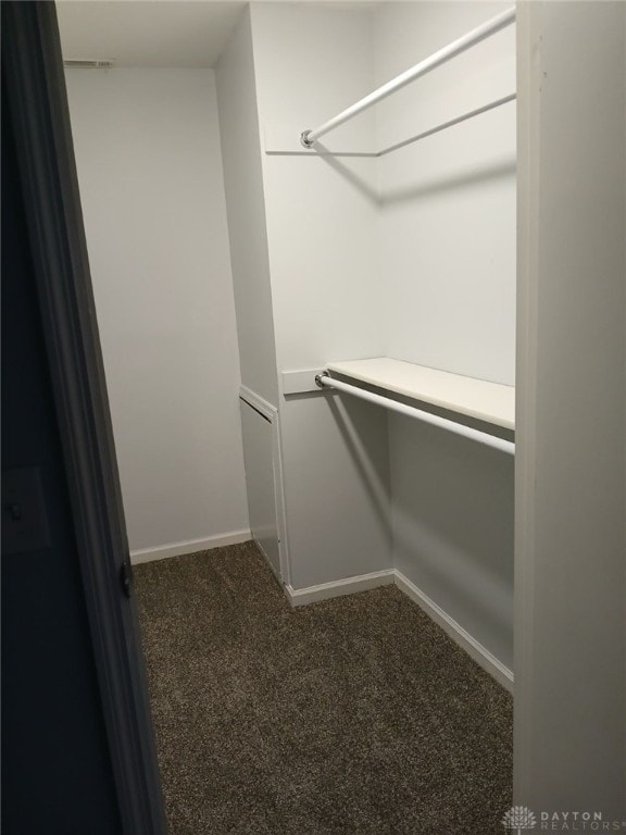 walk in closet featuring dark colored carpet