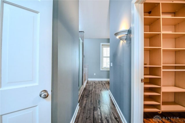 hall with dark hardwood / wood-style flooring