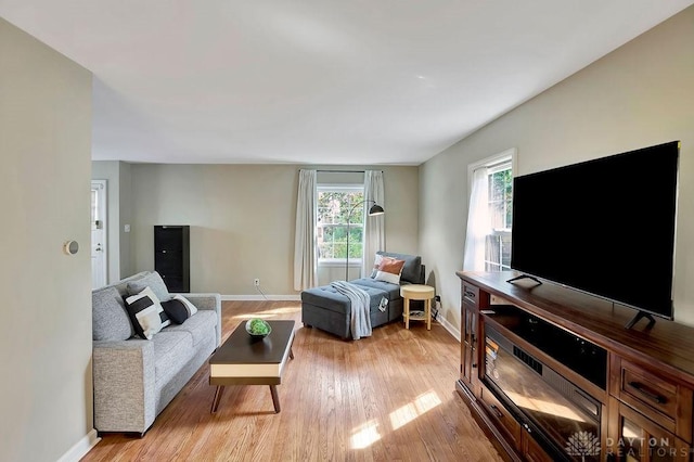 living room with light hardwood / wood-style flooring