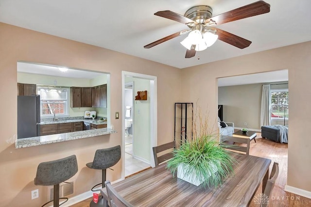 dining space featuring sink, ceiling fan, and light hardwood / wood-style flooring