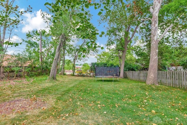 view of yard featuring a trampoline