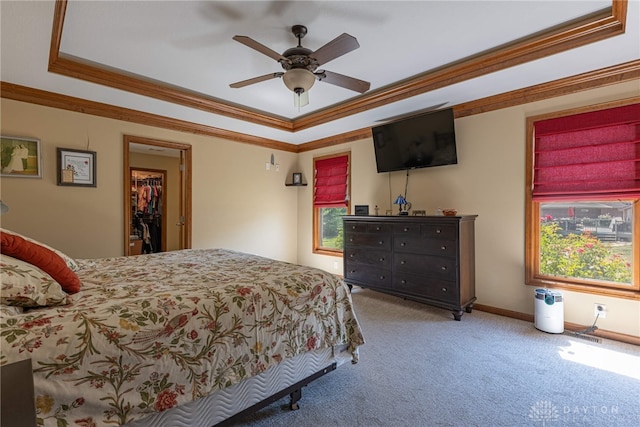 carpeted bedroom with a raised ceiling, crown molding, a spacious closet, and ceiling fan