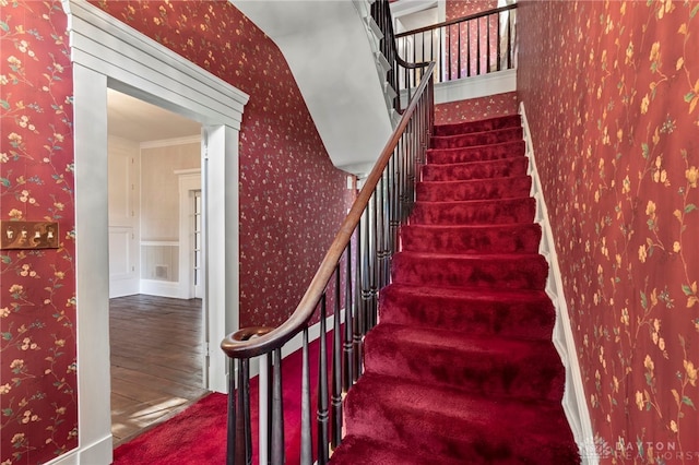 stairway with hardwood / wood-style floors