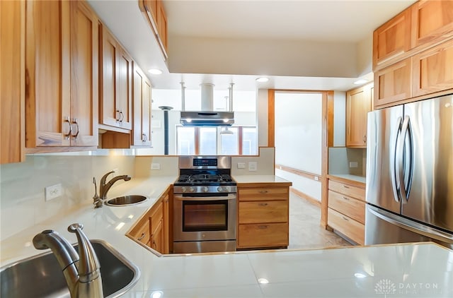 kitchen with sink, range hood, and appliances with stainless steel finishes