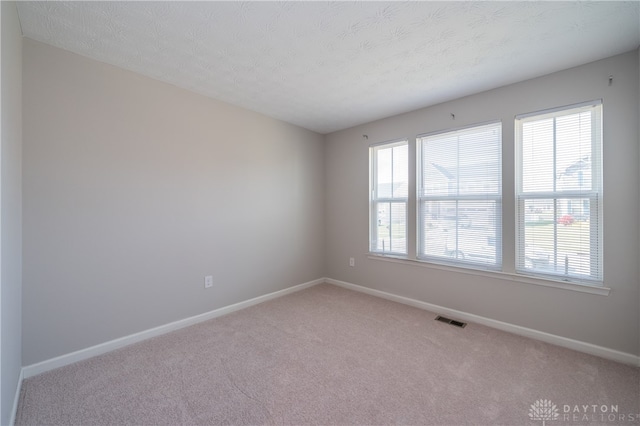 spare room featuring a wealth of natural light, light carpet, and a textured ceiling