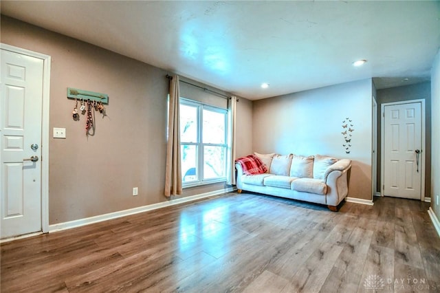 living room featuring light hardwood / wood-style floors