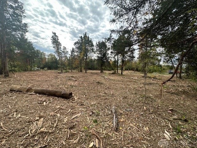 view of local wilderness