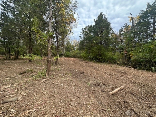 view of local wilderness