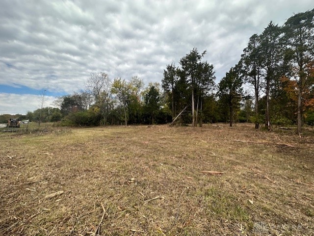 view of yard featuring a rural view