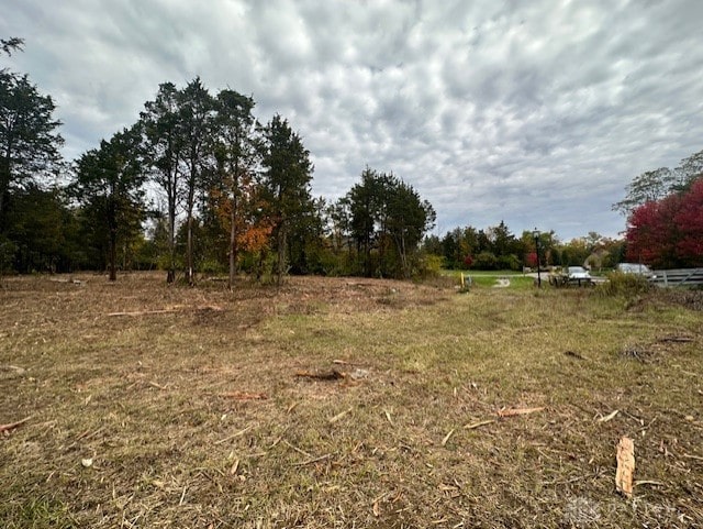 view of yard with a rural view