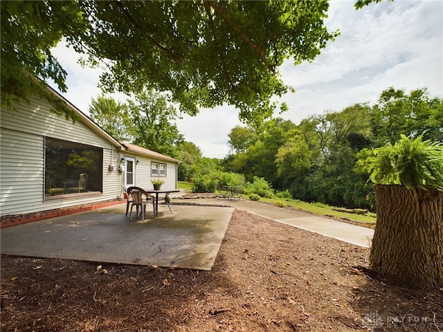 view of yard with a patio area