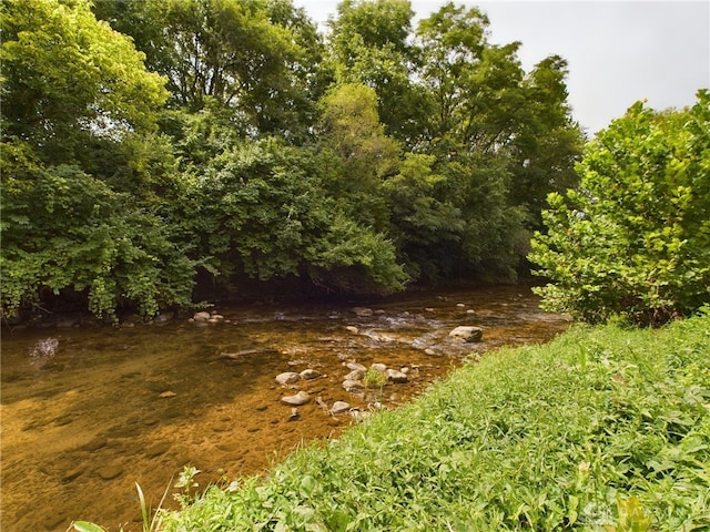 view of local wilderness with a water view