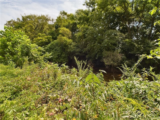 view of nature