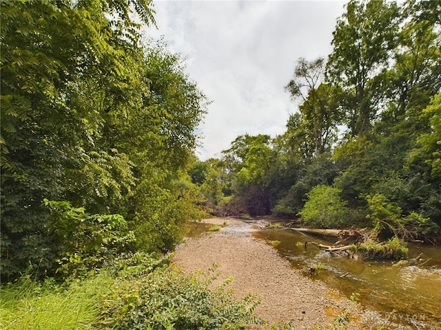 view of local wilderness