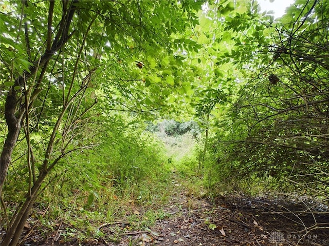 view of landscape