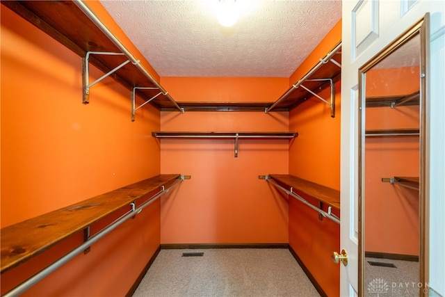 walk in closet featuring light colored carpet