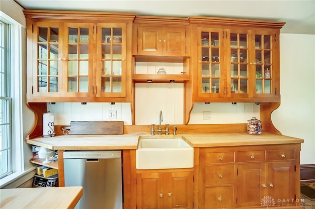 kitchen with a wealth of natural light, sink, and stainless steel dishwasher