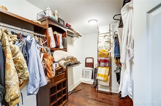 spacious closet with dark hardwood / wood-style floors