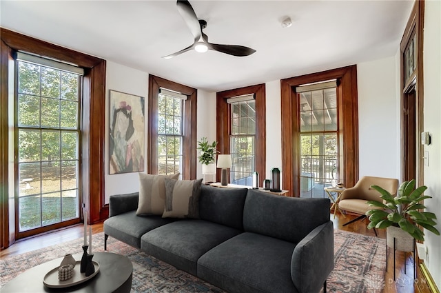 living room with ceiling fan and hardwood / wood-style floors