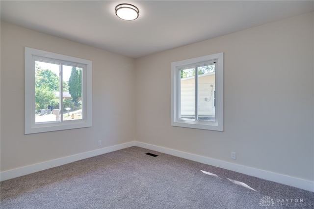 carpeted spare room with a wealth of natural light