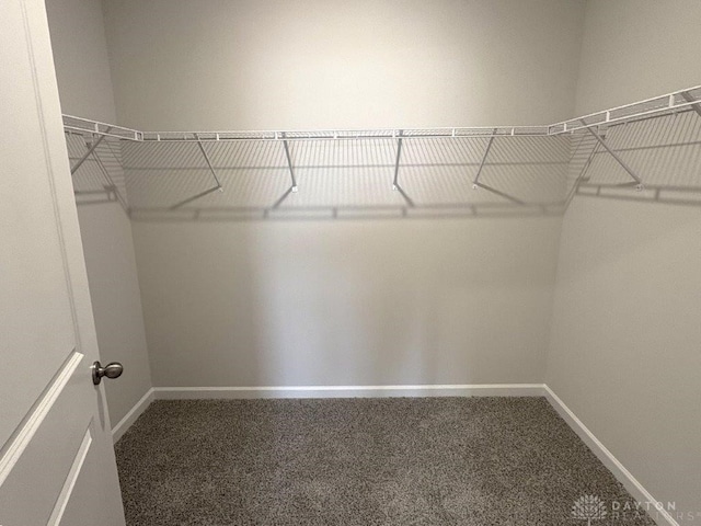 spacious closet with carpet flooring