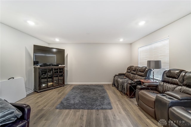 living room with hardwood / wood-style floors