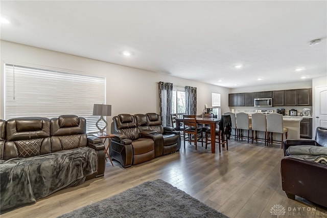 living room featuring light hardwood / wood-style floors