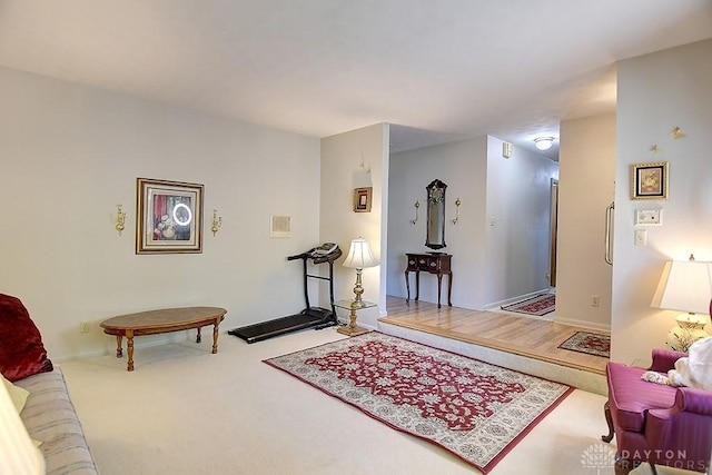 living room with carpet