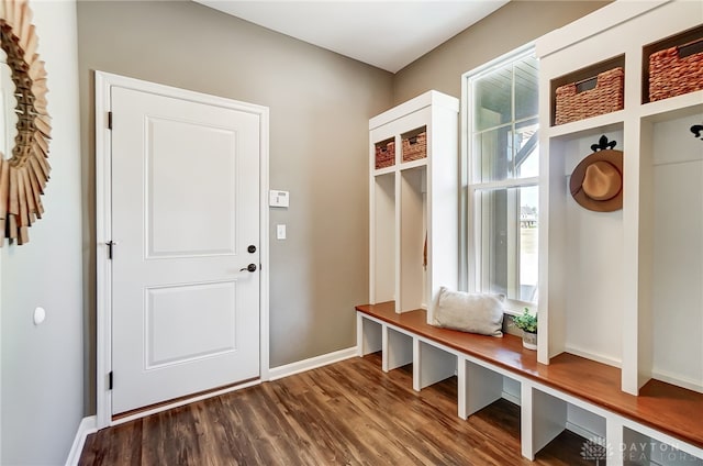 mudroom featuring hardwood / wood-style floors