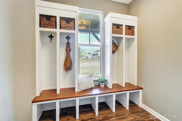 mudroom featuring dark hardwood / wood-style flooring