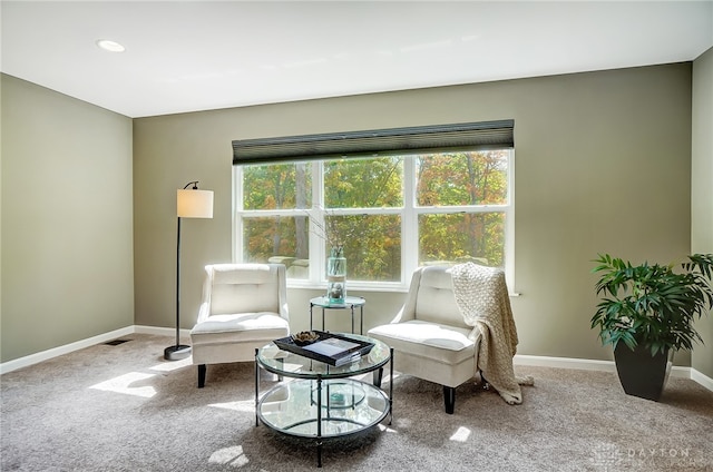 living area with carpet flooring