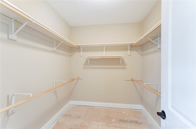 view of spacious closet