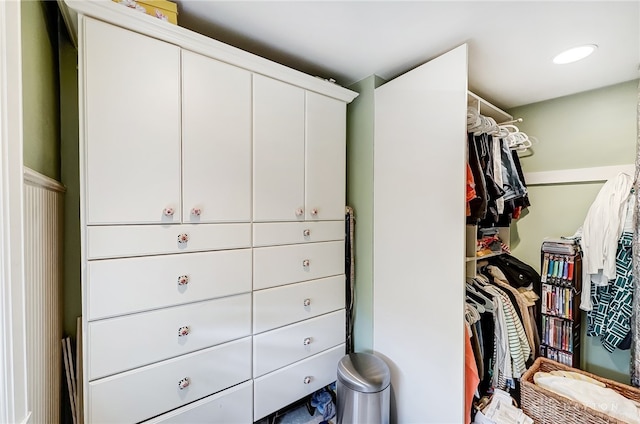 view of walk in closet