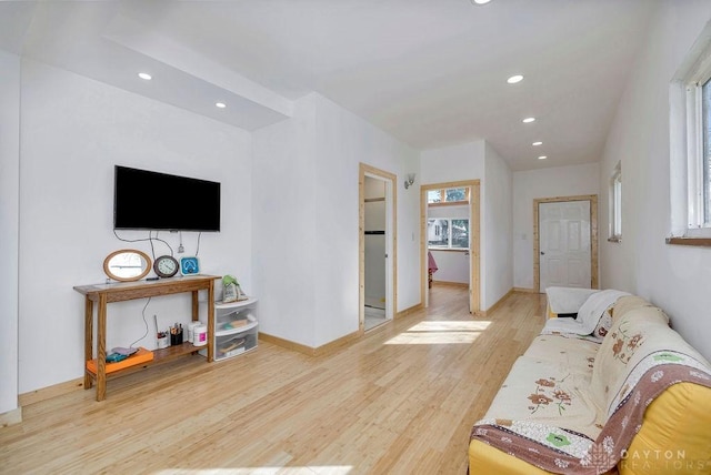 living room featuring light hardwood / wood-style floors