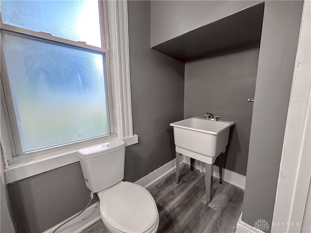 bathroom with hardwood / wood-style flooring and toilet