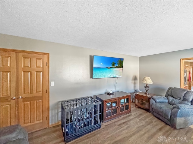 living room featuring a textured ceiling and hardwood / wood-style floors