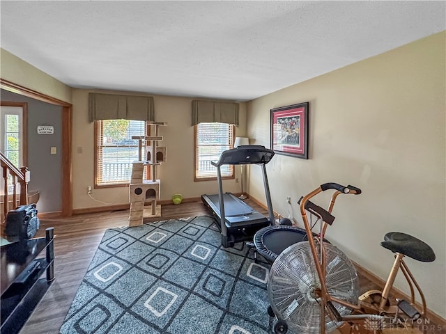 workout area with a textured ceiling, hardwood / wood-style floors, and a healthy amount of sunlight