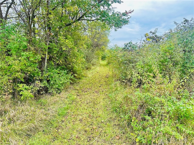 view of landscape